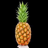 ракчикибряк