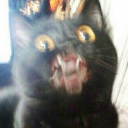 822 - steam id 76561199136906025