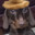 Mr. Dynamike