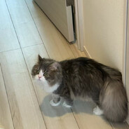 𝓑𝓮𝓵𝓲𝓮𝓿𝓮