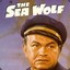 Sea Wolfe