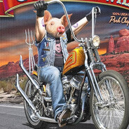 hog