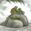 Frog and Toad