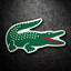 Krokodile