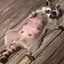 Sexy_Racoon