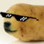 PotaDogi