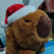 你的盐，我的醋