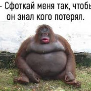 ABSOLUT - steam id 76561199380595627