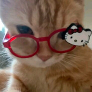 Lilache