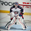 Bobrovsky