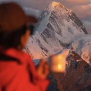 落叶斩不断相思