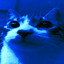 ah! so blue!
