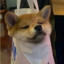 坐下喝喝猹吧