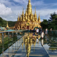 爱意随风起,风止意难平