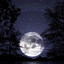 Lunarlight
