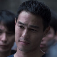 母鸭公鸭生小鸭