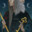 Jänus