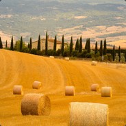 尼玛死了  垃圾游戏