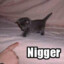 i love black people