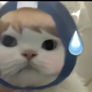 盒子不是几把不要一直