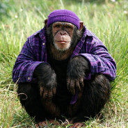 ARCAMBAY's avatar