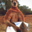 Kanguro simpático