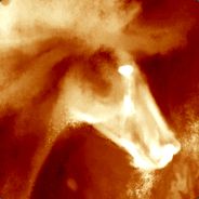 strataro avatar