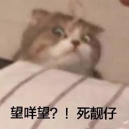 Mr.LLLLLLLLLLL