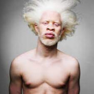 Małpa Albinos