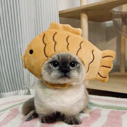 snezy - steam id 76561199758846322