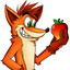 CrashBandicoot56