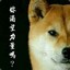 葛炮