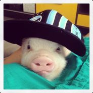 America little pig