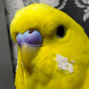 Lezhik - steam id 76561198434097943