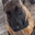 CryEn