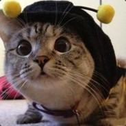 电脑玩家（soul）