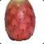 Prickley Pear