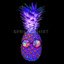 trippypinapple