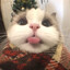 许小屁