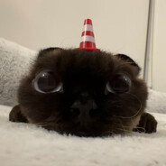 向日葵味道的武士