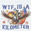 What The Fuck Is A Kilometer