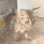 一个人如何睡到死