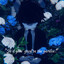 Rose Zen 117