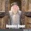 Albus Doubledoors