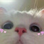 7777