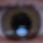 David&#039;s Eye