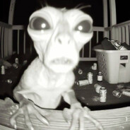 Анальный маЙнез