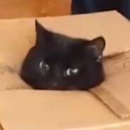 赧然の白潮沉暇