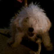 Sounder 'Till I Die - steam id 76561197970944864