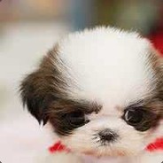 乐趣在改名之中